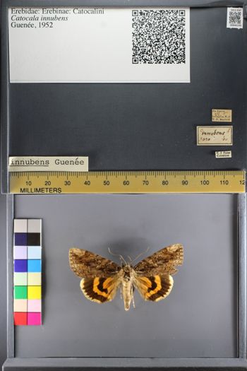 Media type: image;   Entomology 640193